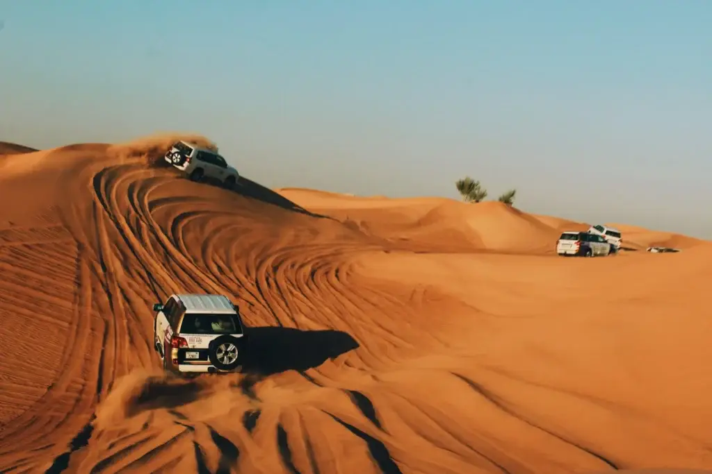 desert safaris