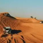 4 Top-Rated Desert Safaris In Dubai That You Wouldn'T Want To Miss 4 Top-Rated Desert Safaris In Dubai That You Wouldn’T Want To Miss