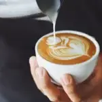 Best Cafes In Sharjah For Coffee Lovers (2026)